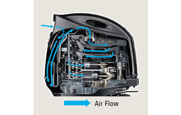 Semi-Direct Air Intake System